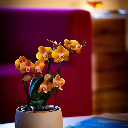 Fontezoppa Casa de Campo Civitanova Alta