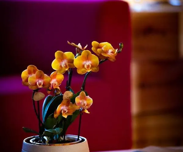 Fontezoppa Lantställe Civitanova Alta