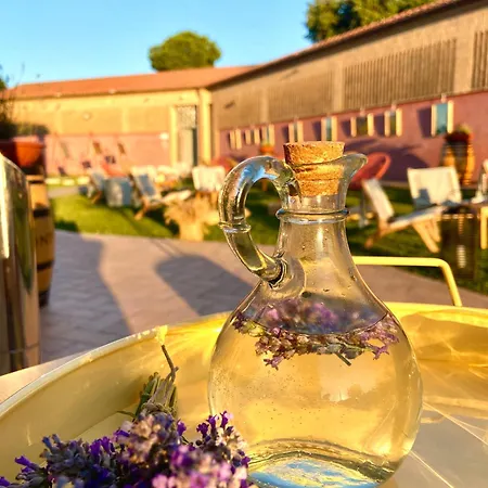 Gospodarstwo wiejskie Fontezoppa *